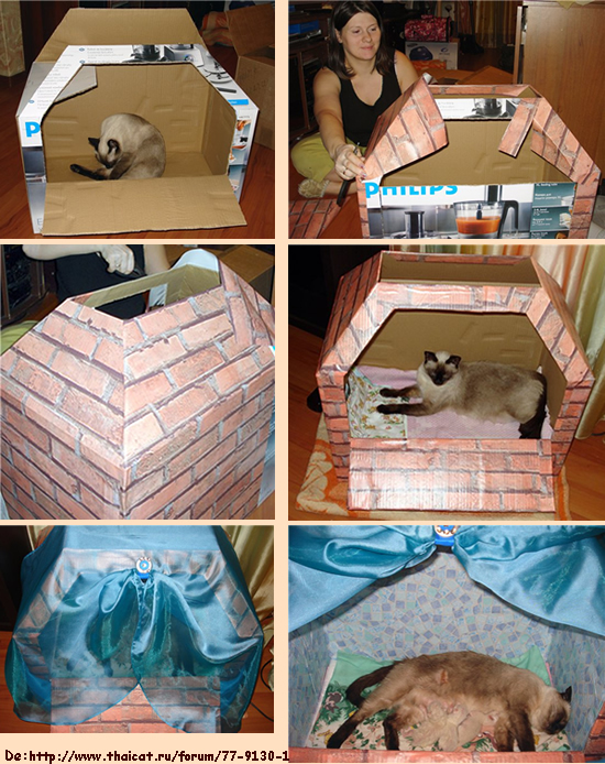 Casa para gato de caja de cartón 