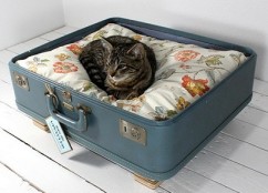cama para gato  hecha de una maleta 